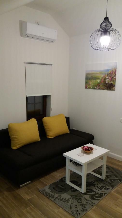 Enjoy Apartment Timişoara Exterior foto